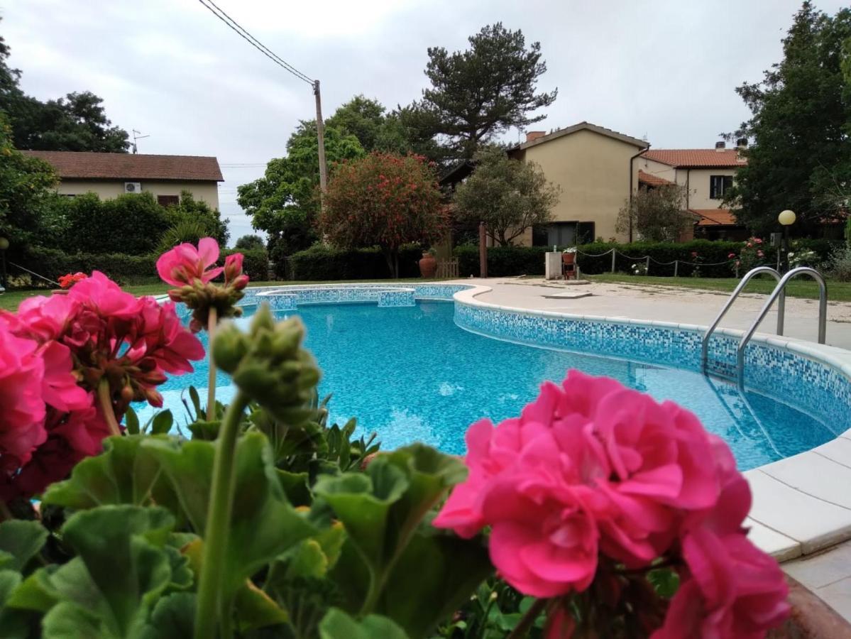 Agriturismo Le Chicche Di Mafalda モンテメラノ エクステリア 写真