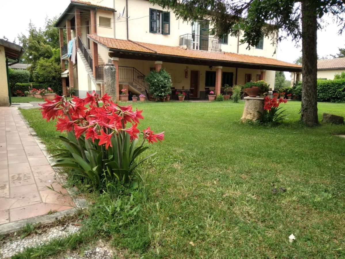Agriturismo Le Chicche Di Mafalda モンテメラノ エクステリア 写真