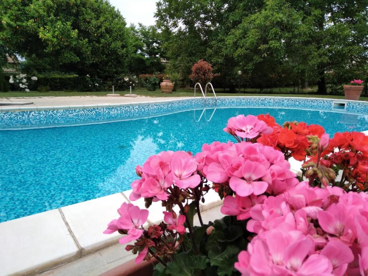 Agriturismo Le Chicche Di Mafalda モンテメラノ エクステリア 写真